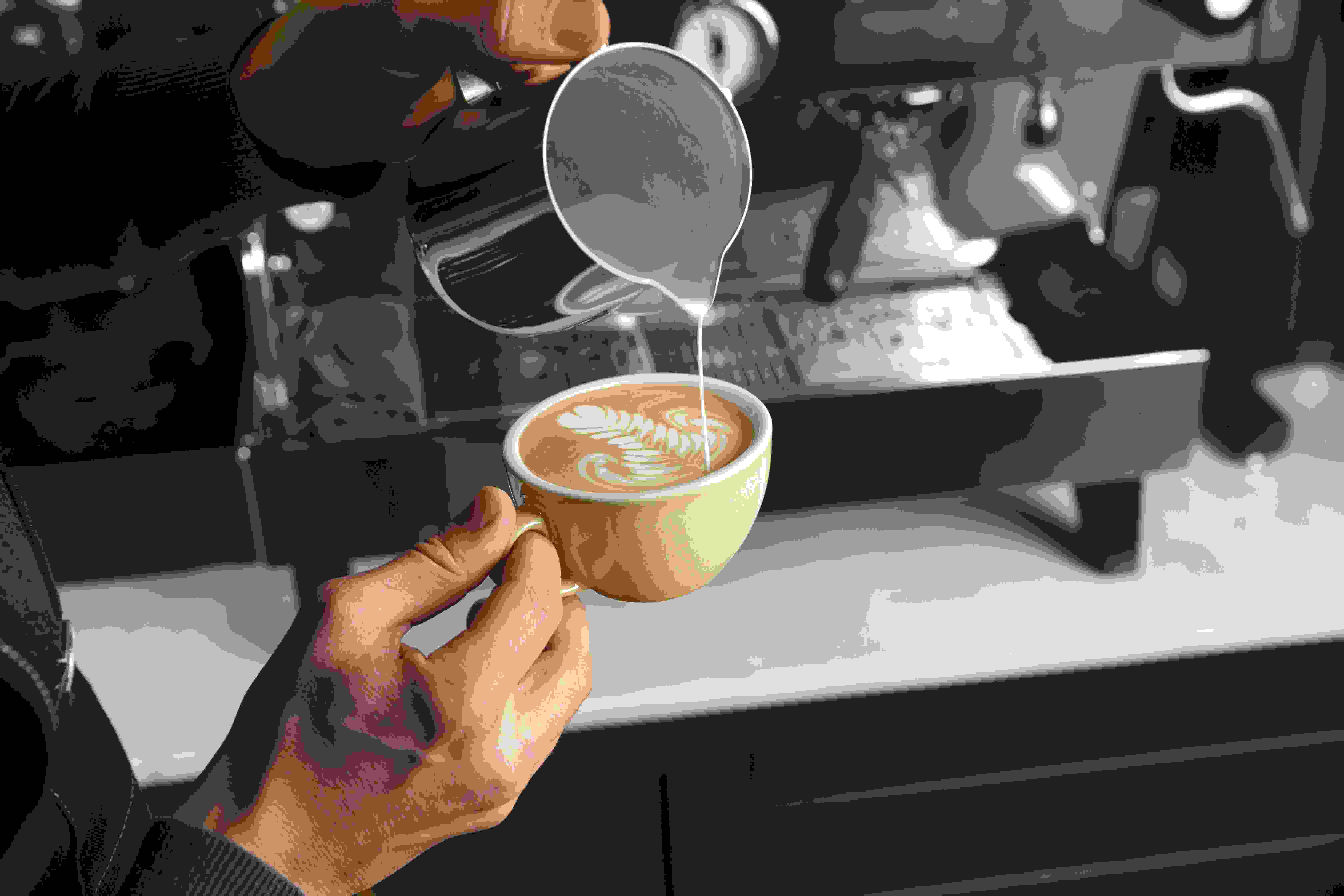 SCA ve MEB Sertifikalı Barista