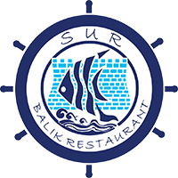 SUR BALIK ANKARA